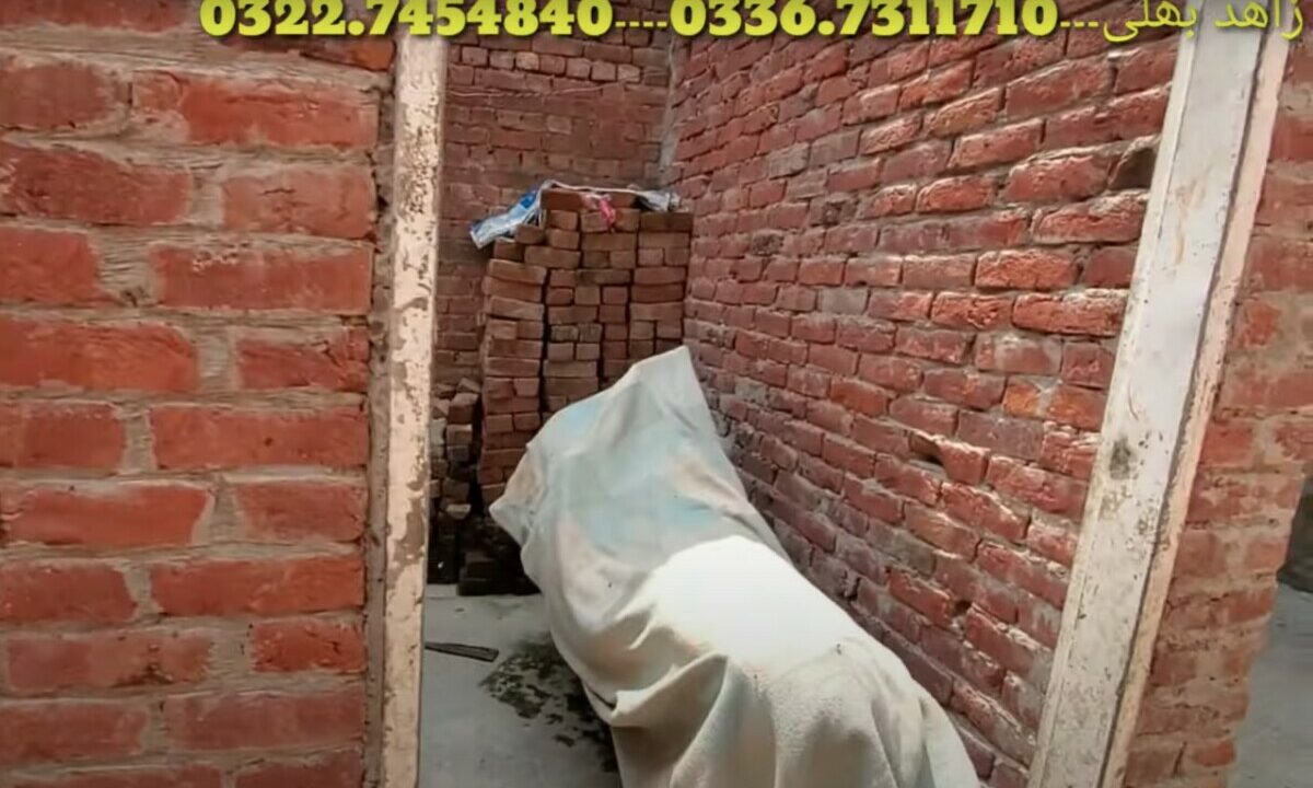 Screenshot 2022-10-22 at 12.59.00