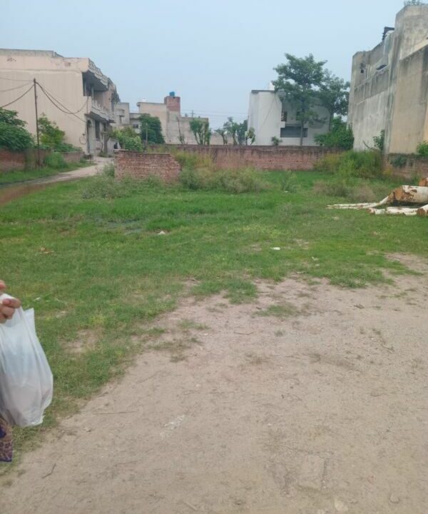 IMG-20250720-WA0004(2)