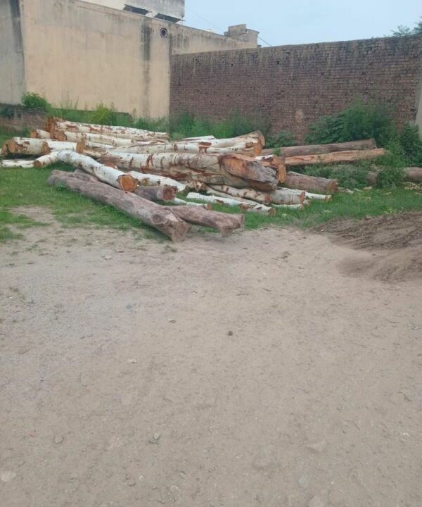 IMG-20250720-WA0003(1)