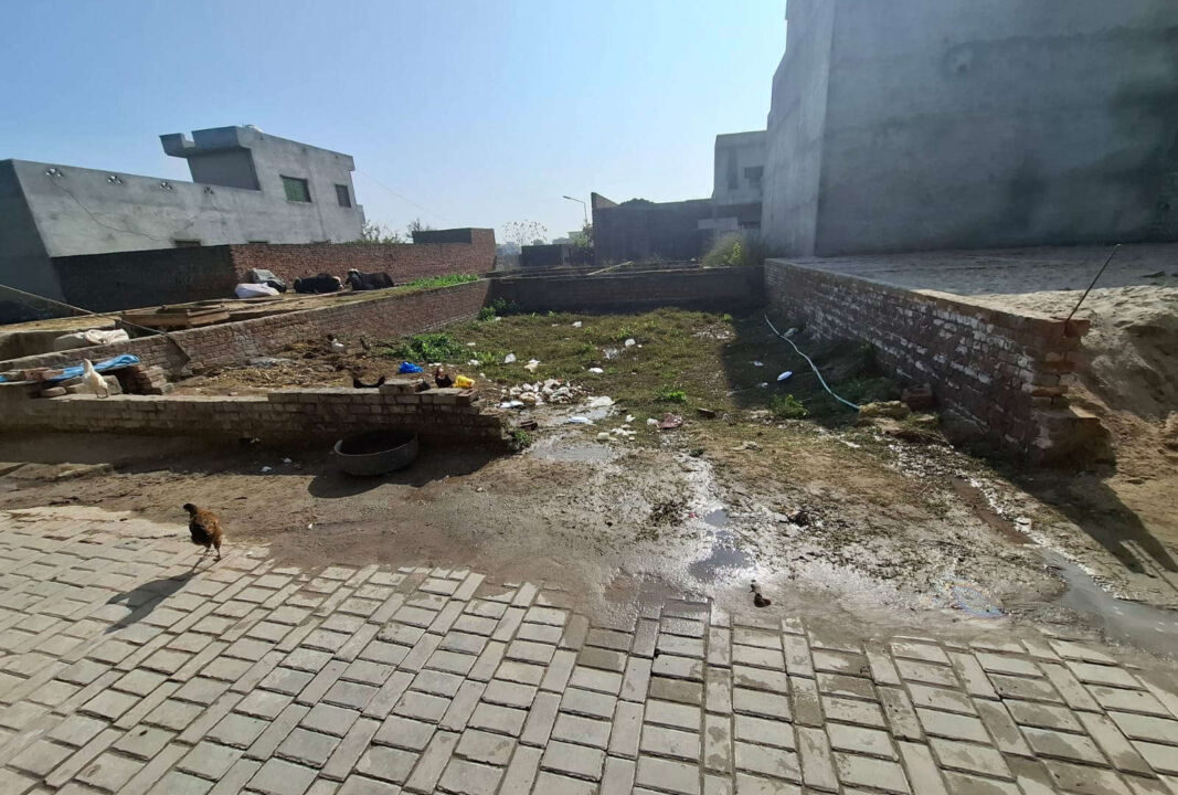 WhatsApp Image 2026-03-27 at 12.51.09 PM_result