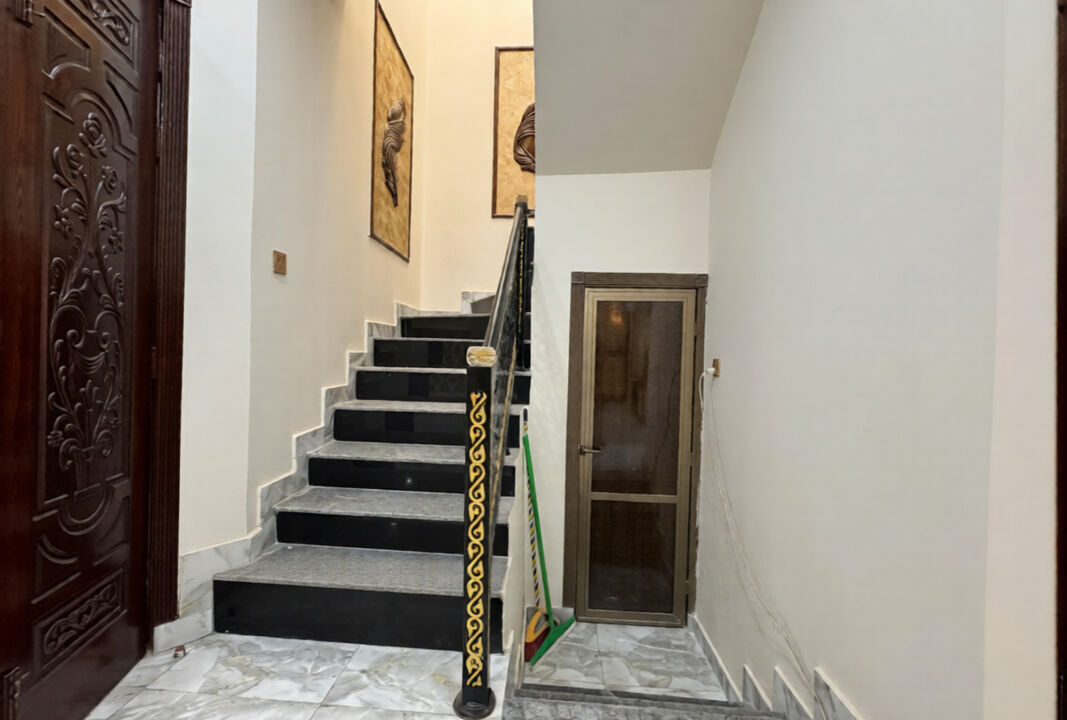 -3b7bd6a8-041e-4bd1-b35c-6644e7784bea