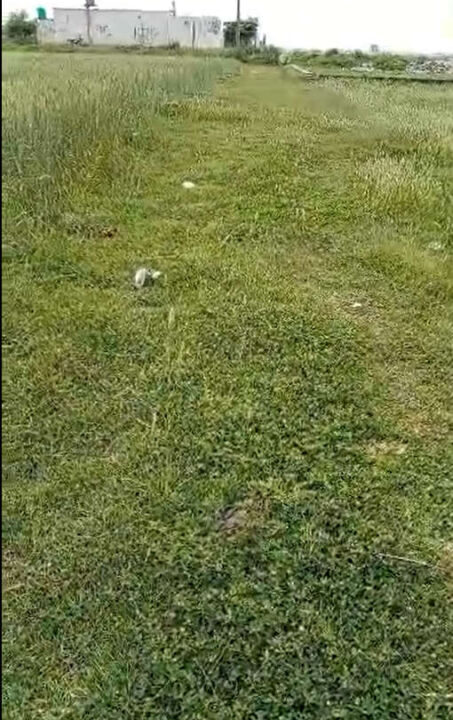 Screenshot (340)_result