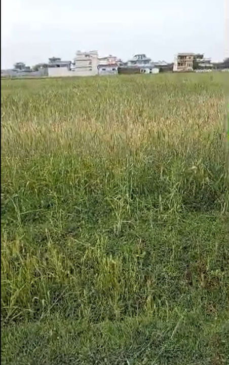 Screenshot (341)_result