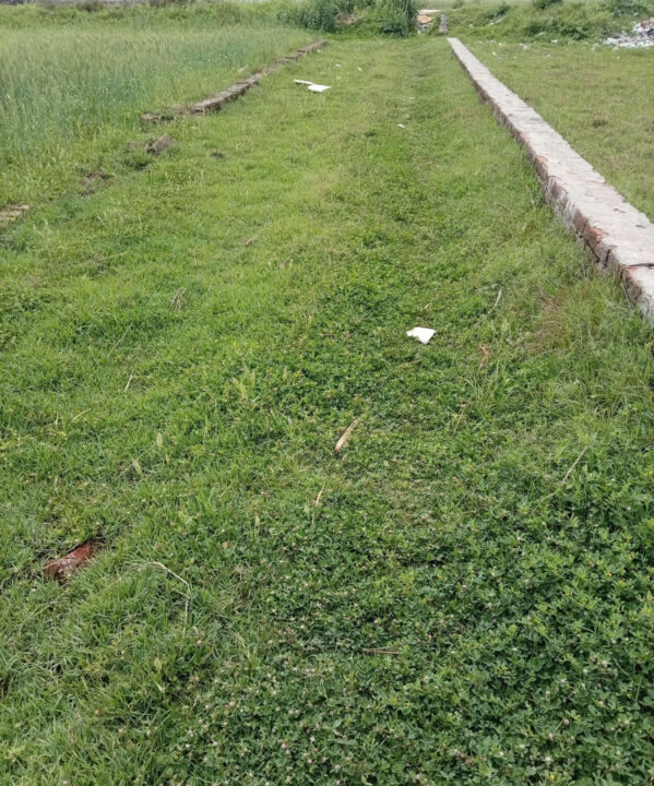 WhatsApp Image 2026-03-26 at 12.42.29 PM_result