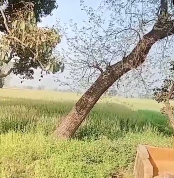 Screenshot (683)_result