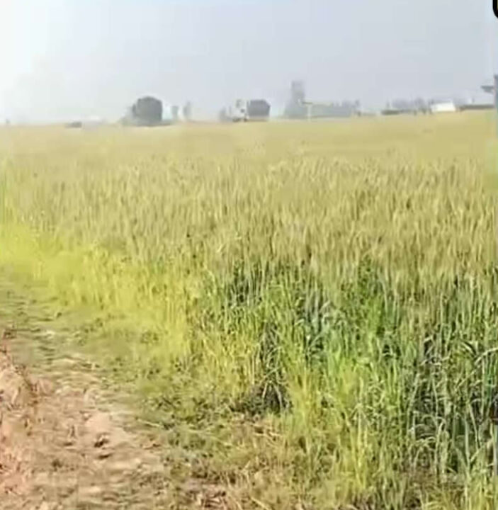 Screenshot (684)_result