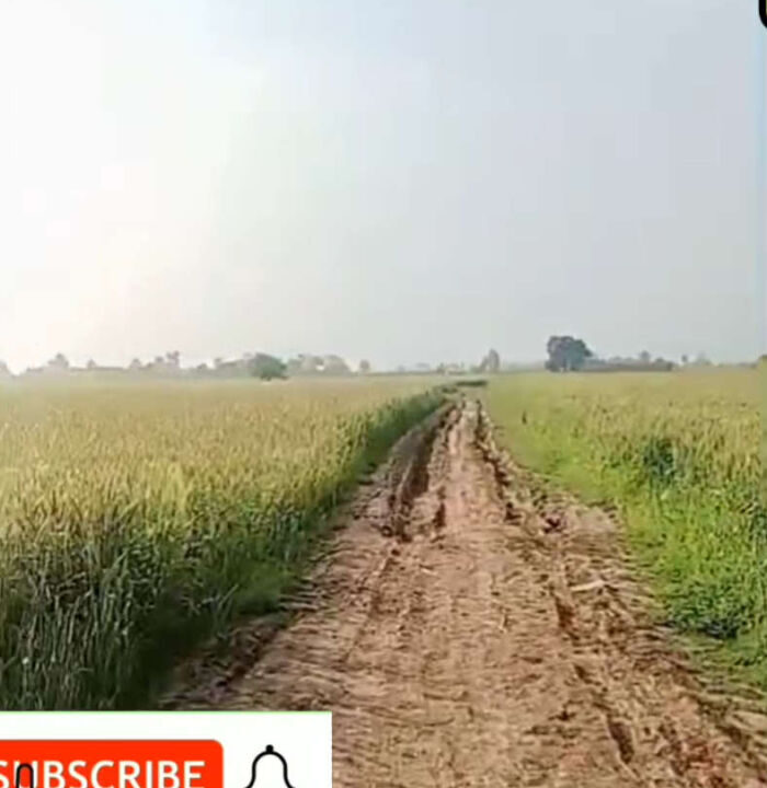 Screenshot (685)_result