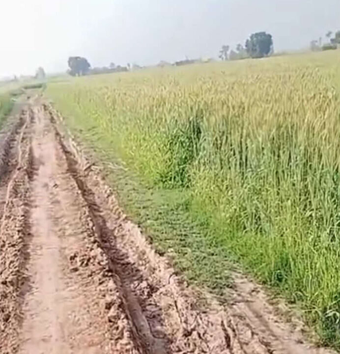 Screenshot (686)_result