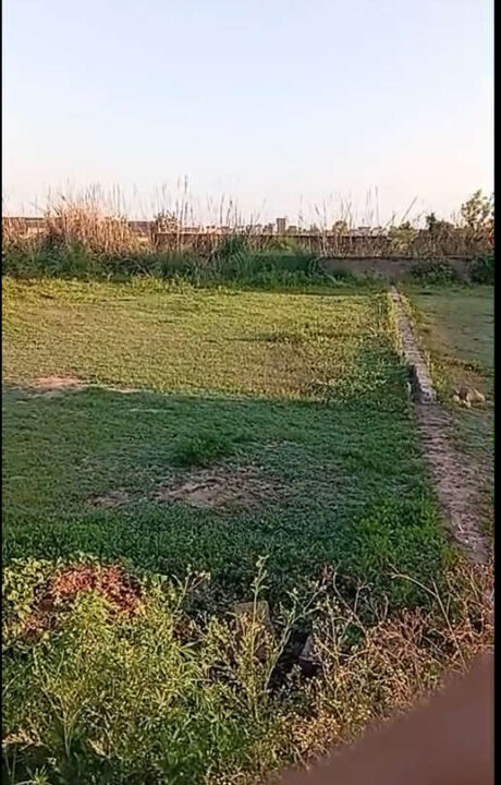 Screenshot (820)_result