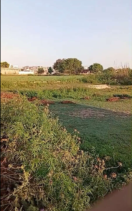 Screenshot (821)_result