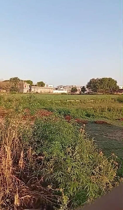 Screenshot (822)_result