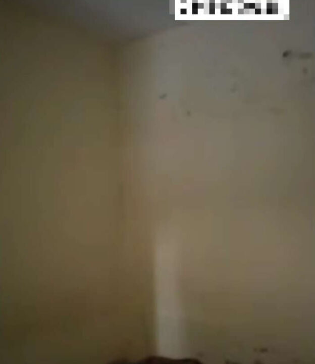 Screenshot (1010)_result