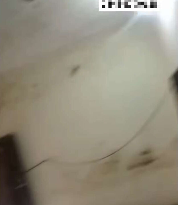 Screenshot (1011)_result