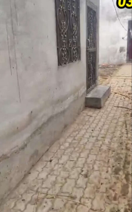 Screenshot (1148)_result