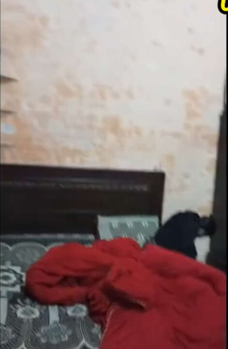 Screenshot (1180)_result