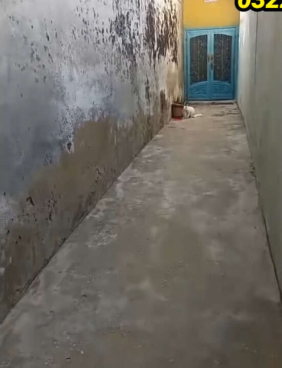 Screenshot (1203)_result