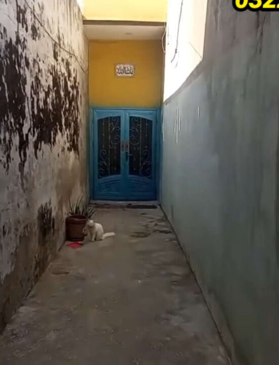 Screenshot (1204)_result