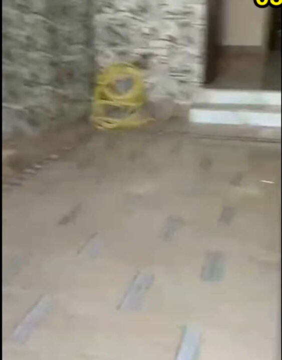 Screenshot (1400)_result